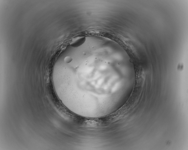X0000091590703200709051122
