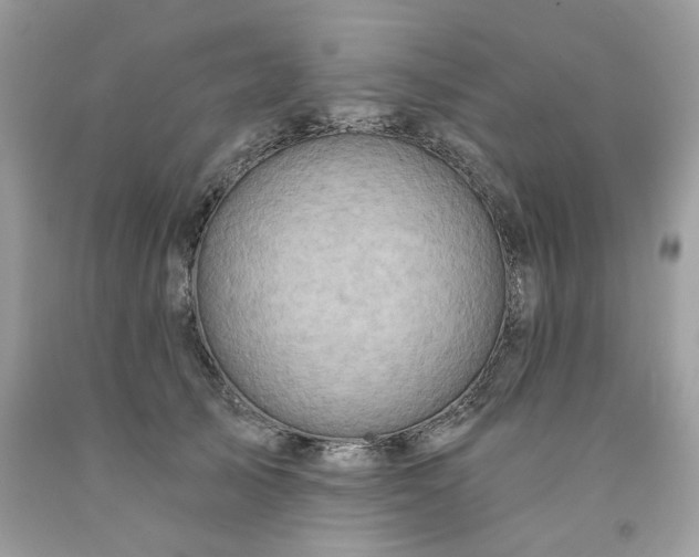 X0000091590705200709051122