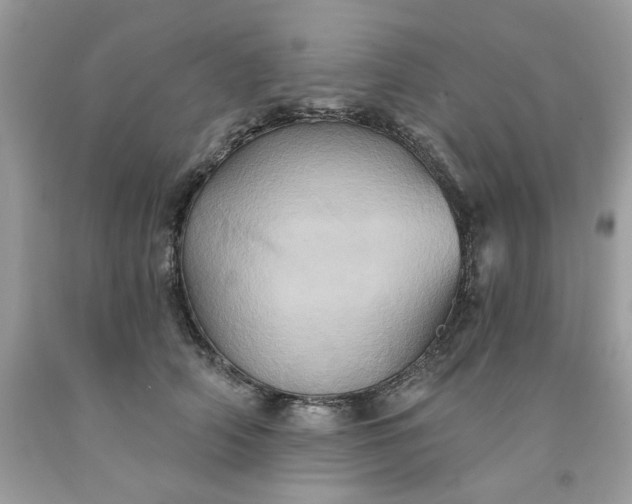 X0000091590706200709051122