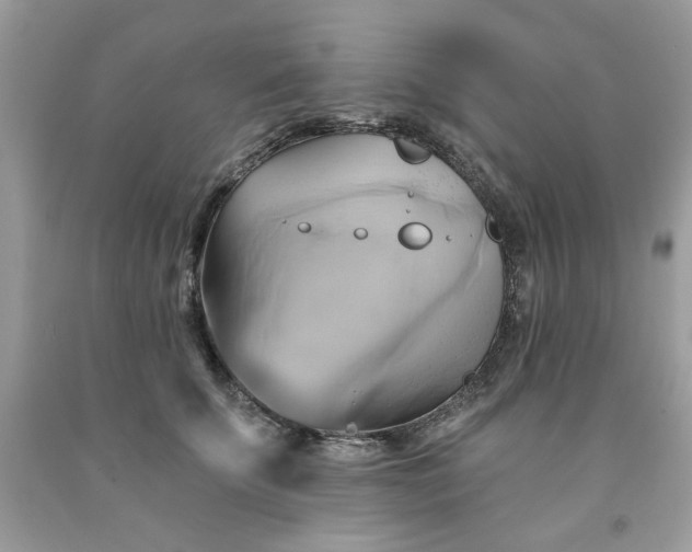 X0000091590707200709051122