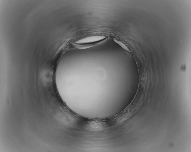 X0000091590708200709051122