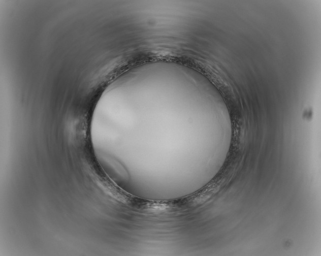 X0000091590710200709051121