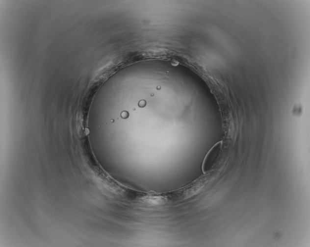 X0000091590711200709051121