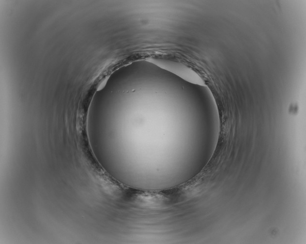 X0000091590712200709051121