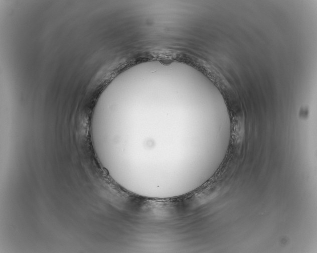 X0000091590713200709051121