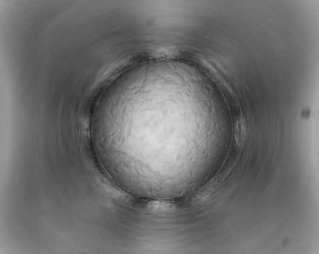 X0000091590714200709051121