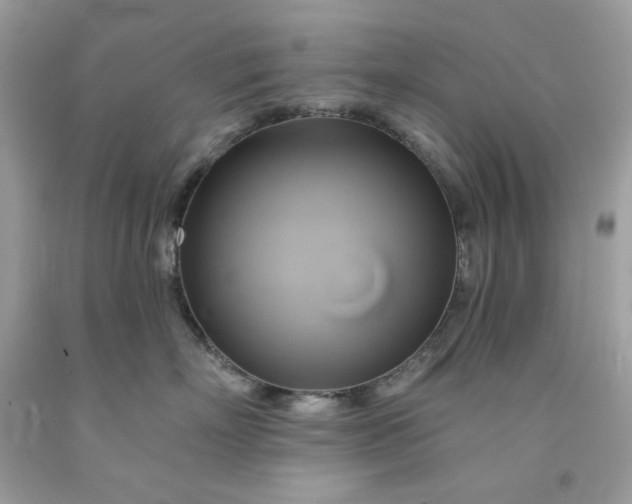 X0000091590718200709051121