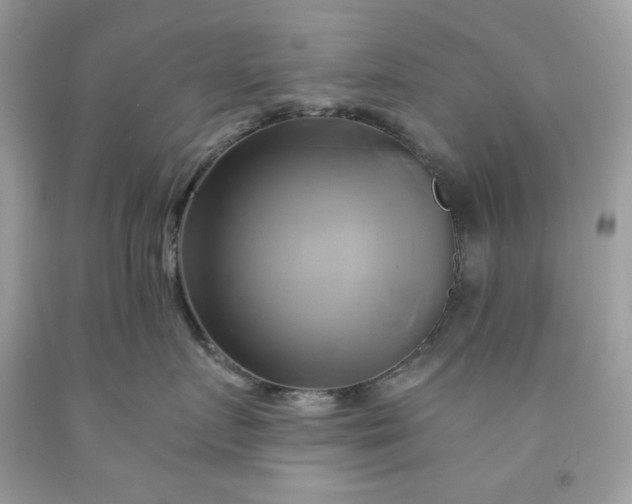 X0000091590719200709051121