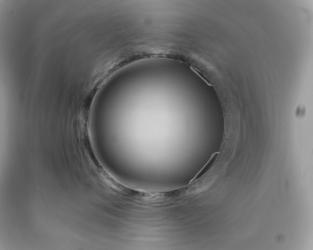 X0000091590720200709051121