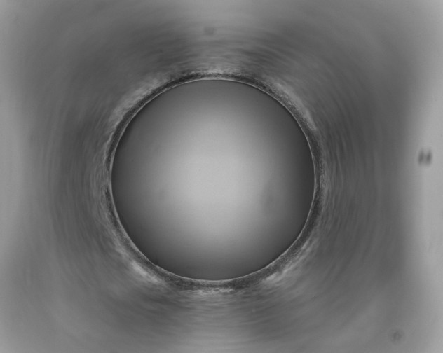X0000091590721200709051121
