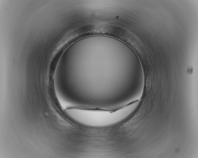 X0000091590722200709051121