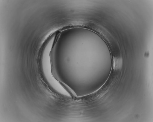 X0000091590723200709051121