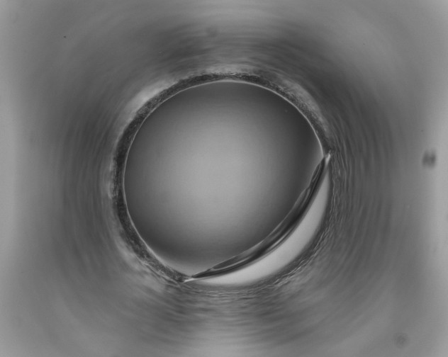 X0000091590724200709051121