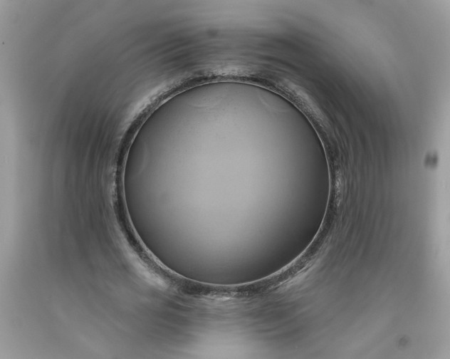 X0000091590725200709051121