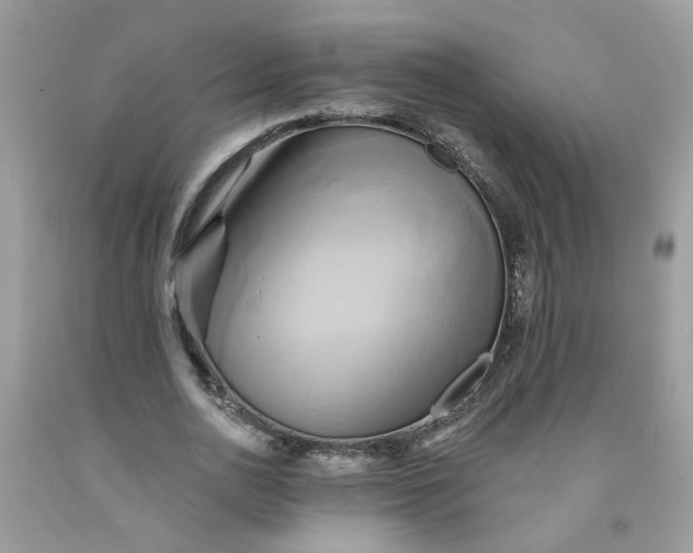 X0000091590726200709051121