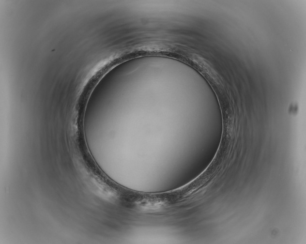 X0000091590727200709051121