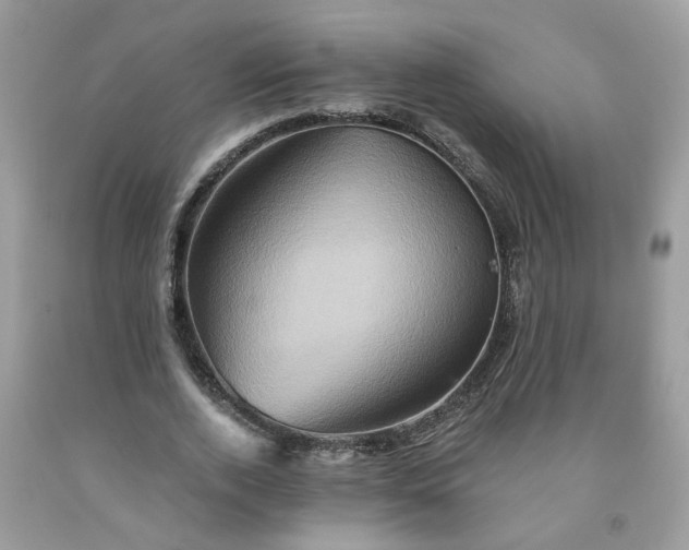 X0000091590728200709051121