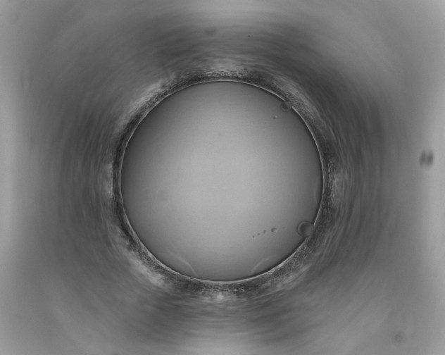 X0000091590729200709051121