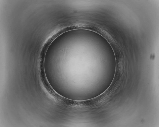X0000091590730200709051121