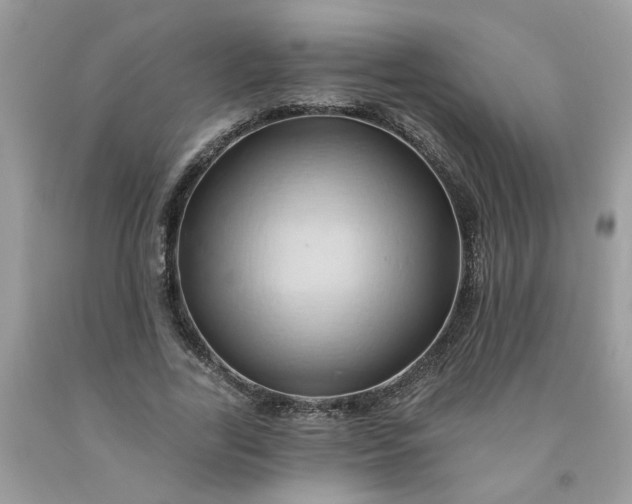 X0000091590731200709051121