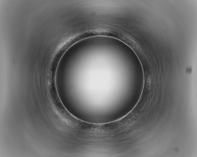 X0000091590732200709051121