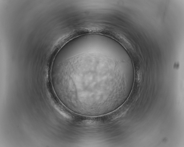 X0000091590733200709051121