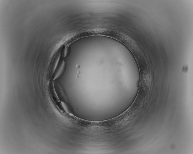 X0000091590734200709051121