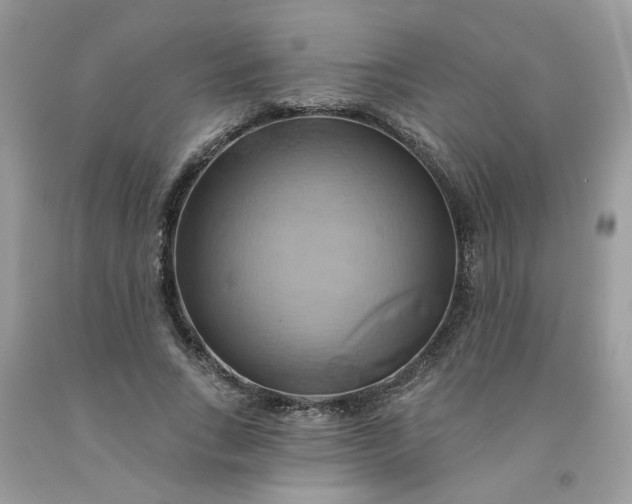 X0000091590735200709051121
