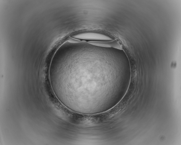 X0000091590736200709051121