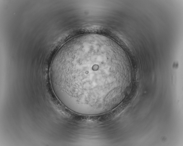 X0000091590737200709051121