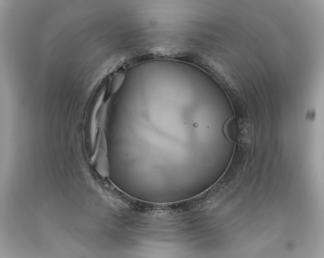 X0000091590738200709051121
