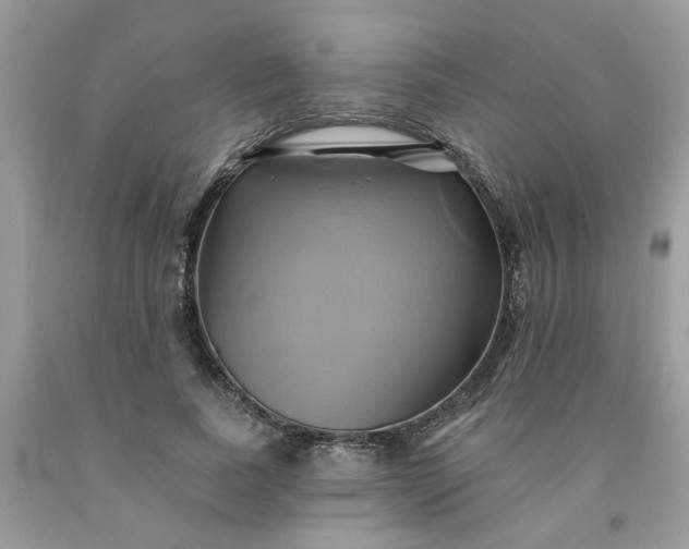 X0000091590739200709051121