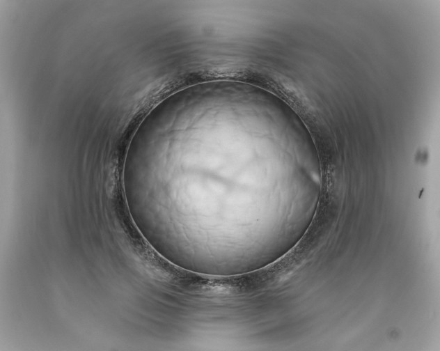 X0000091590741200709051121