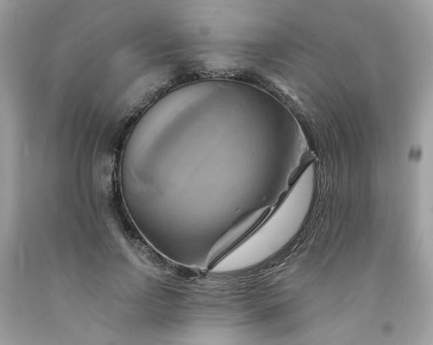X0000091590742200709051121