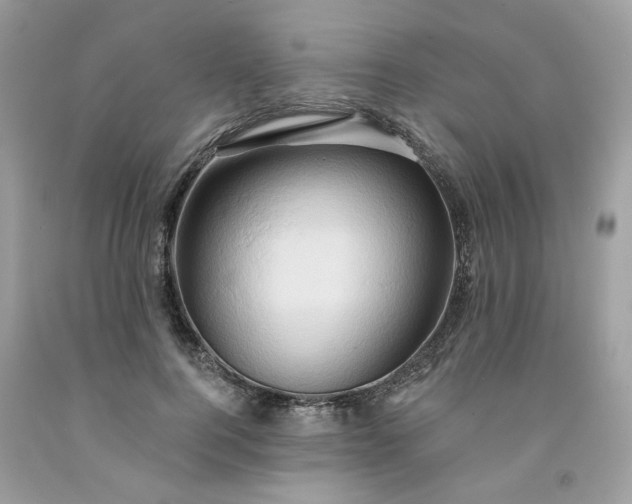 X0000091590744200709051121