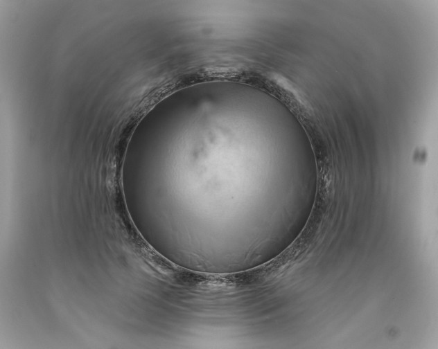 X0000091590745200709051121