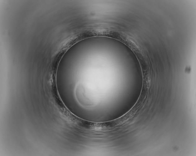 X0000091590746200709051121