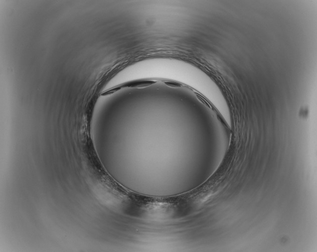 X0000091590748200709051121