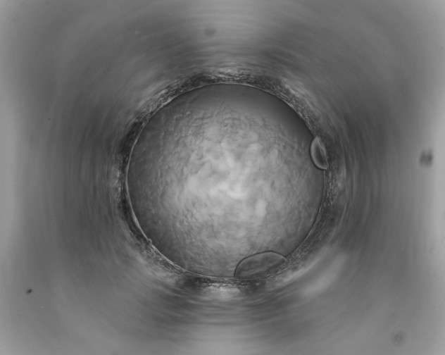 X0000091590749200709051121