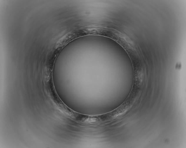 X0000091590751200709051121