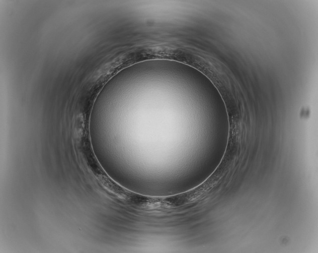 X0000091590752200709051121