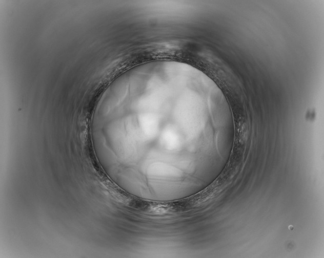 X0000091590753200709051121