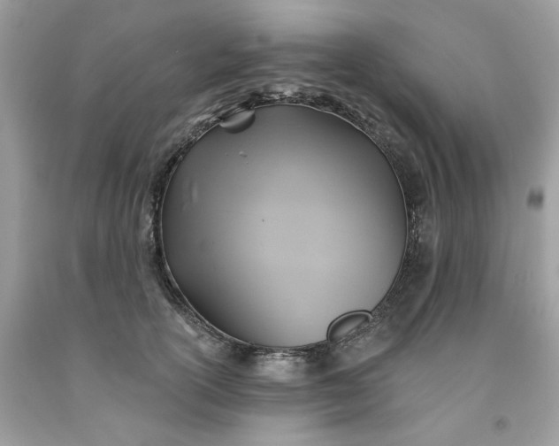 X0000091590754200709051121