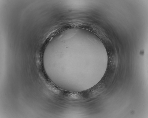 X0000091590755200709051121