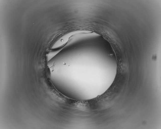 X0000091590756200709051121