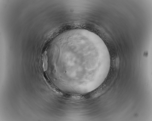 X0000091590757200709051121