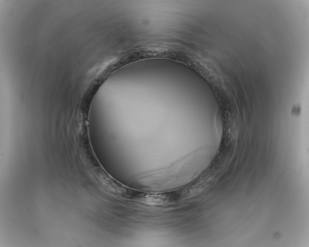 X0000091590758200709051121