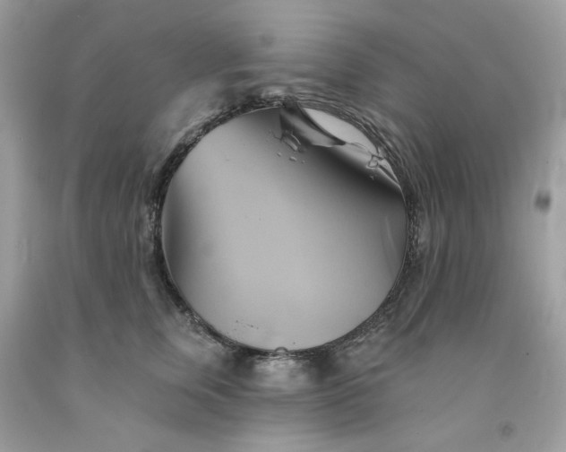 X0000091590759200709051121
