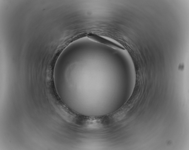 X0000091590760200709051121