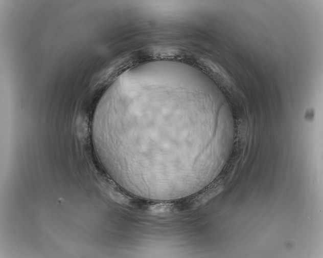 X0000091590761200709051121
